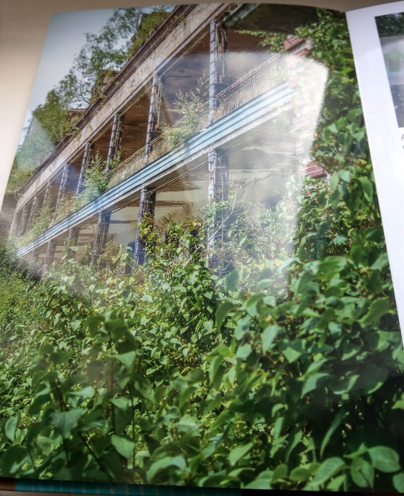 Schweizer Sparen Fotobucher In Deutschland Mypaketshop