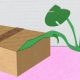 Pflanzen versenden - besten Verpackungstipps